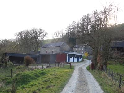 Picture 20